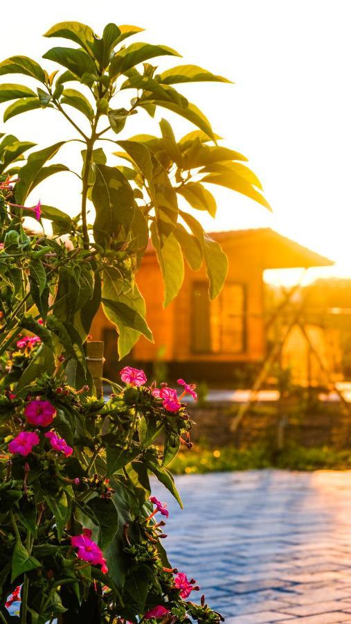 Lemon Garden Lodge Cirali Exterior photo