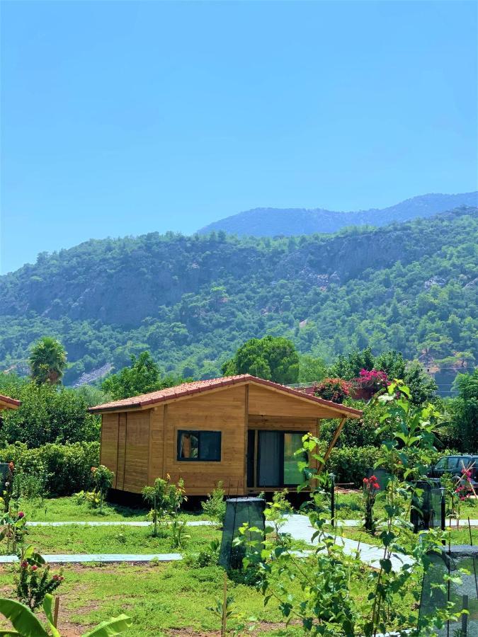 Lemon Garden Lodge Cirali Exterior photo