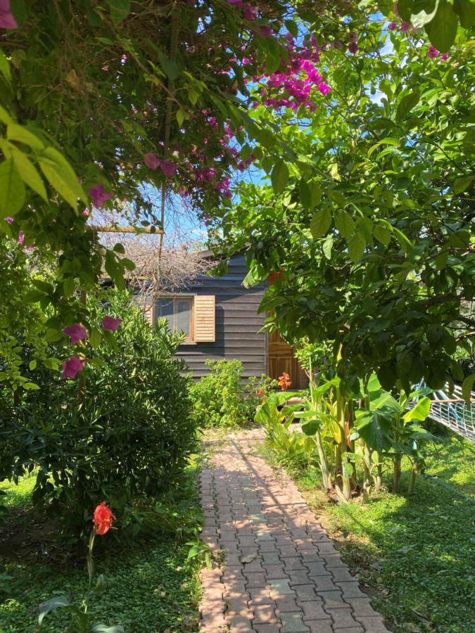 Lemon Garden Lodge Cirali Exterior photo