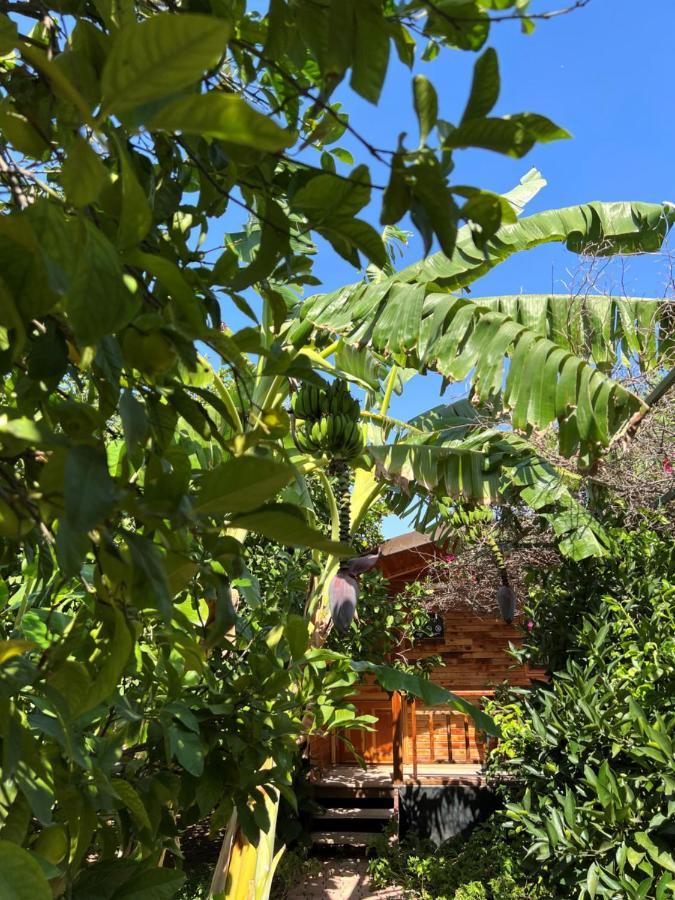 Lemon Garden Lodge Cirali Exterior photo