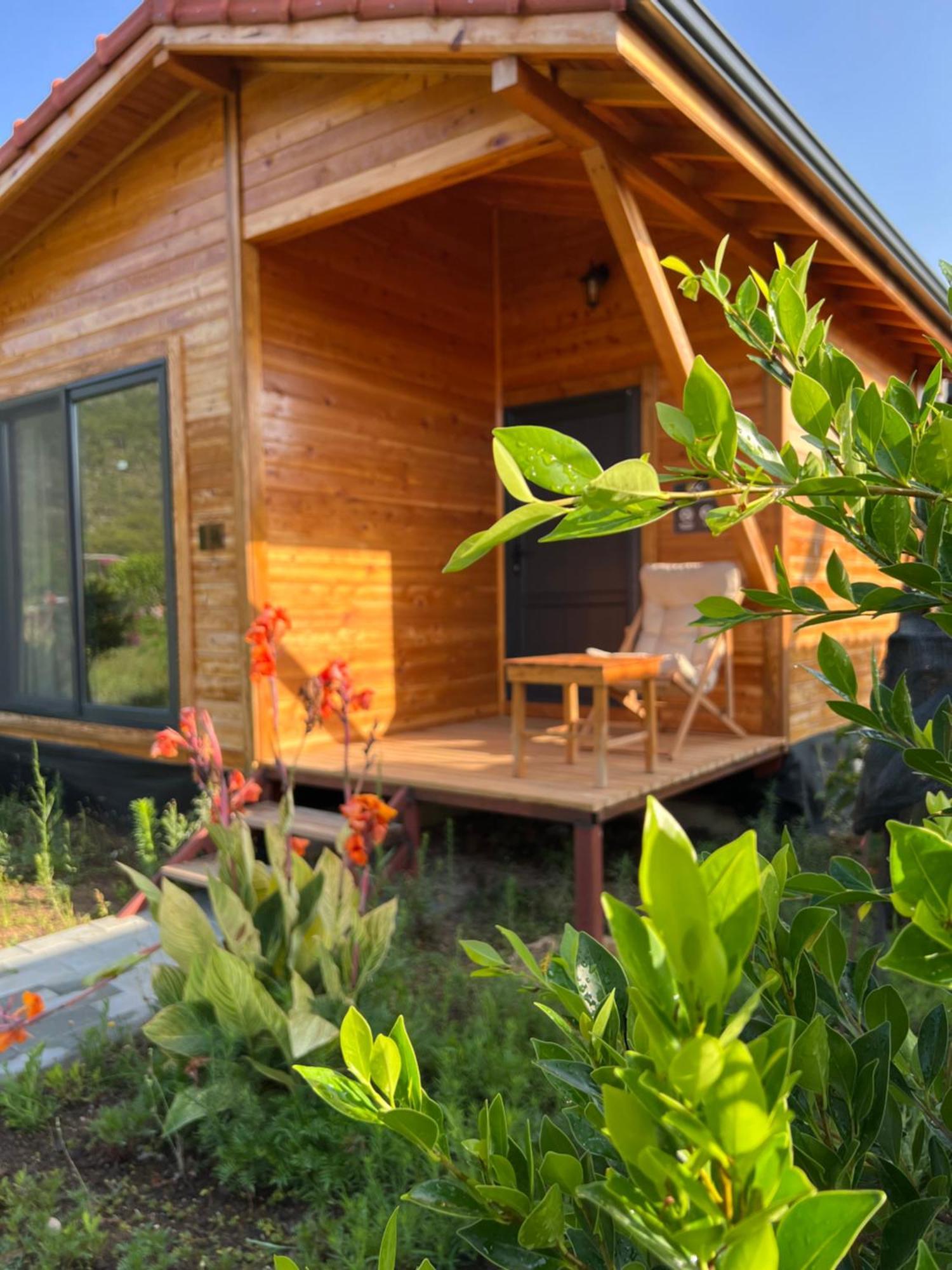 Lemon Garden Lodge Cirali Exterior photo