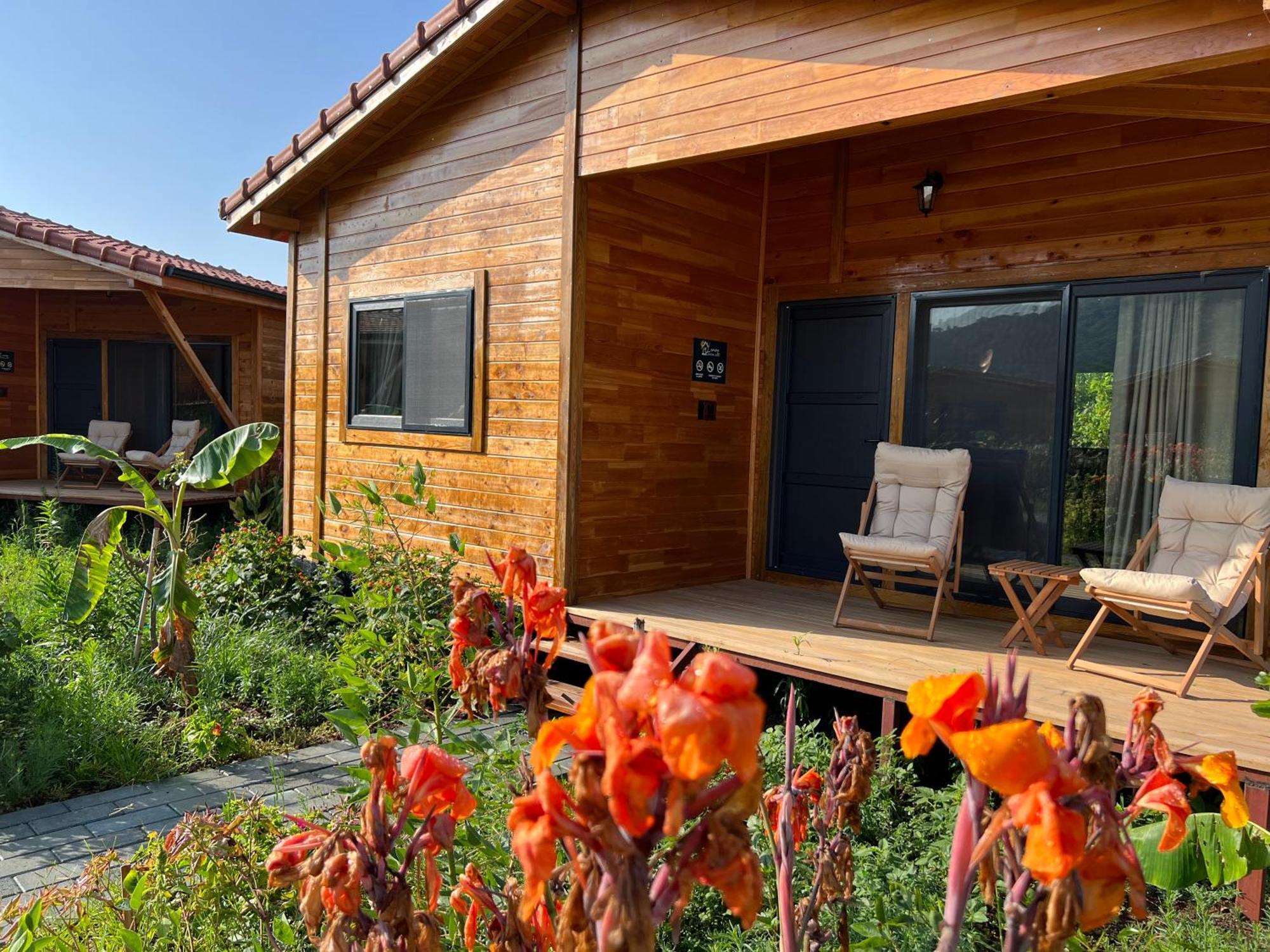 Lemon Garden Lodge Cirali Exterior photo