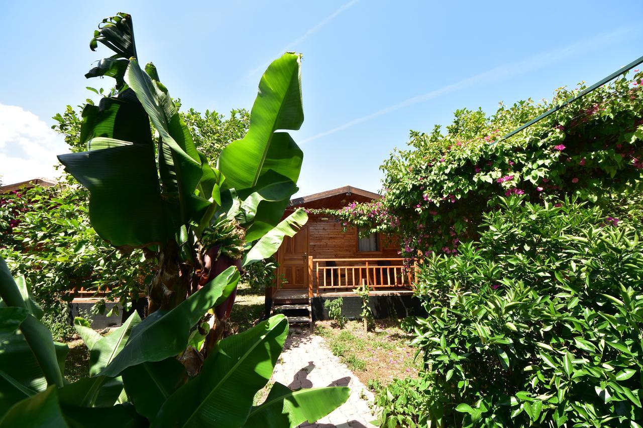 Lemon Garden Lodge Cirali Exterior photo